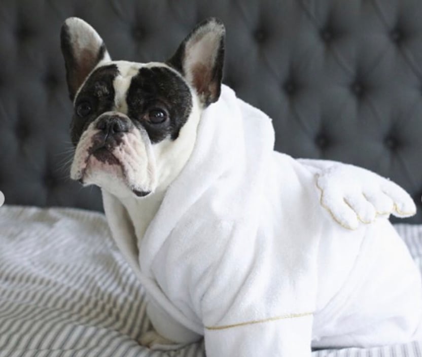 Angel Dog Bathrobe image 0