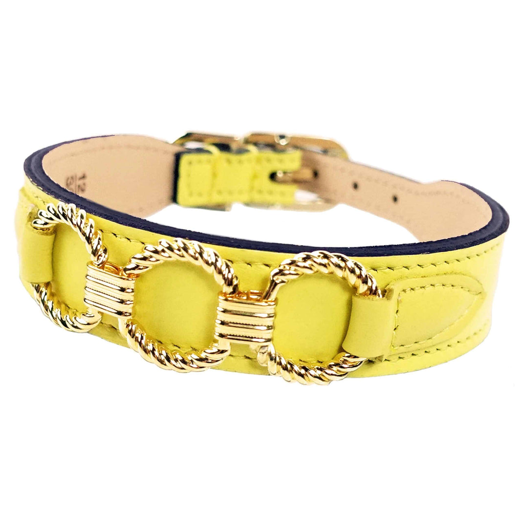Athena in Canary Yellow & Gold Dog Collar image 0