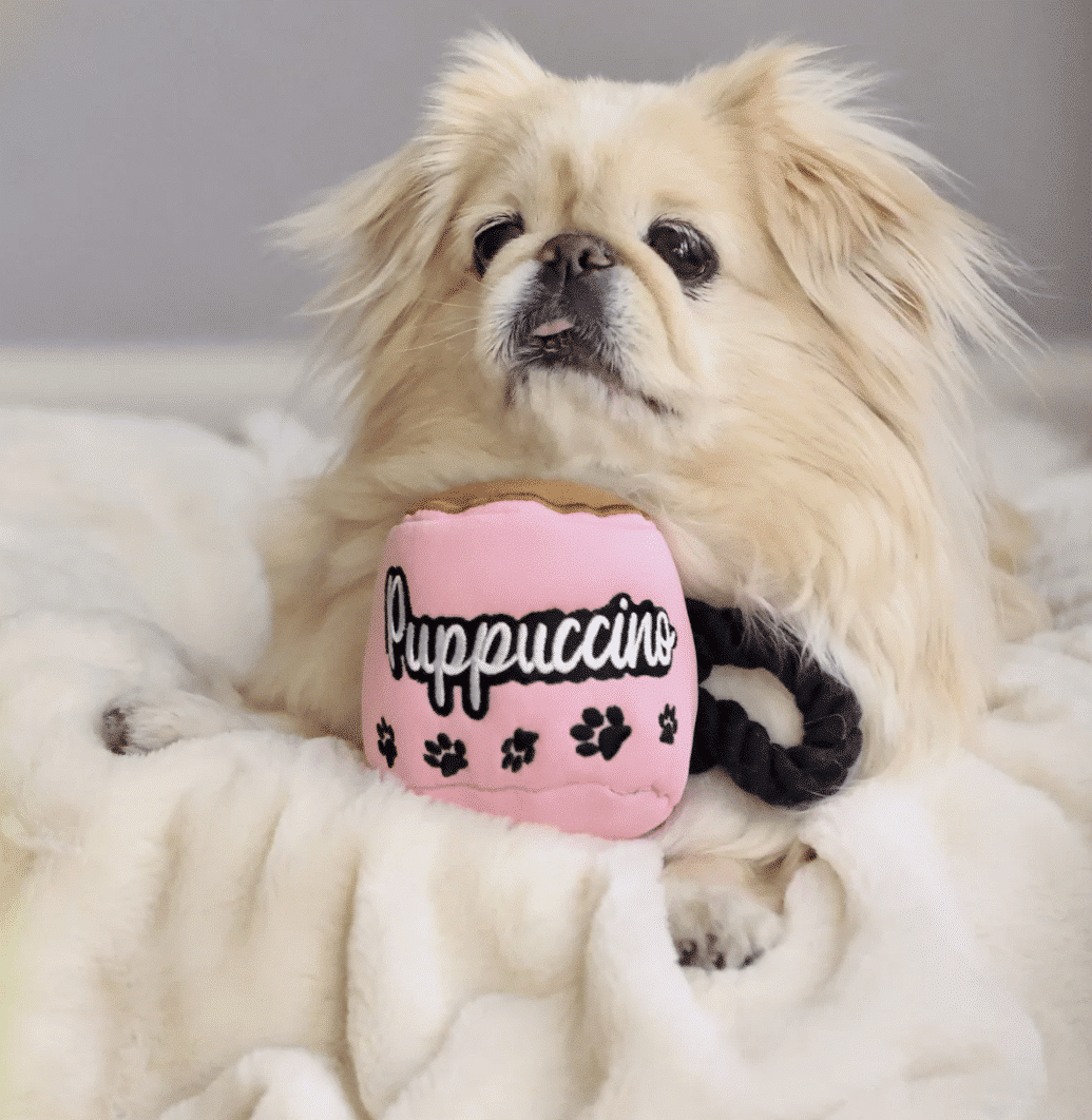Puppuccino Dog Toy image 1
