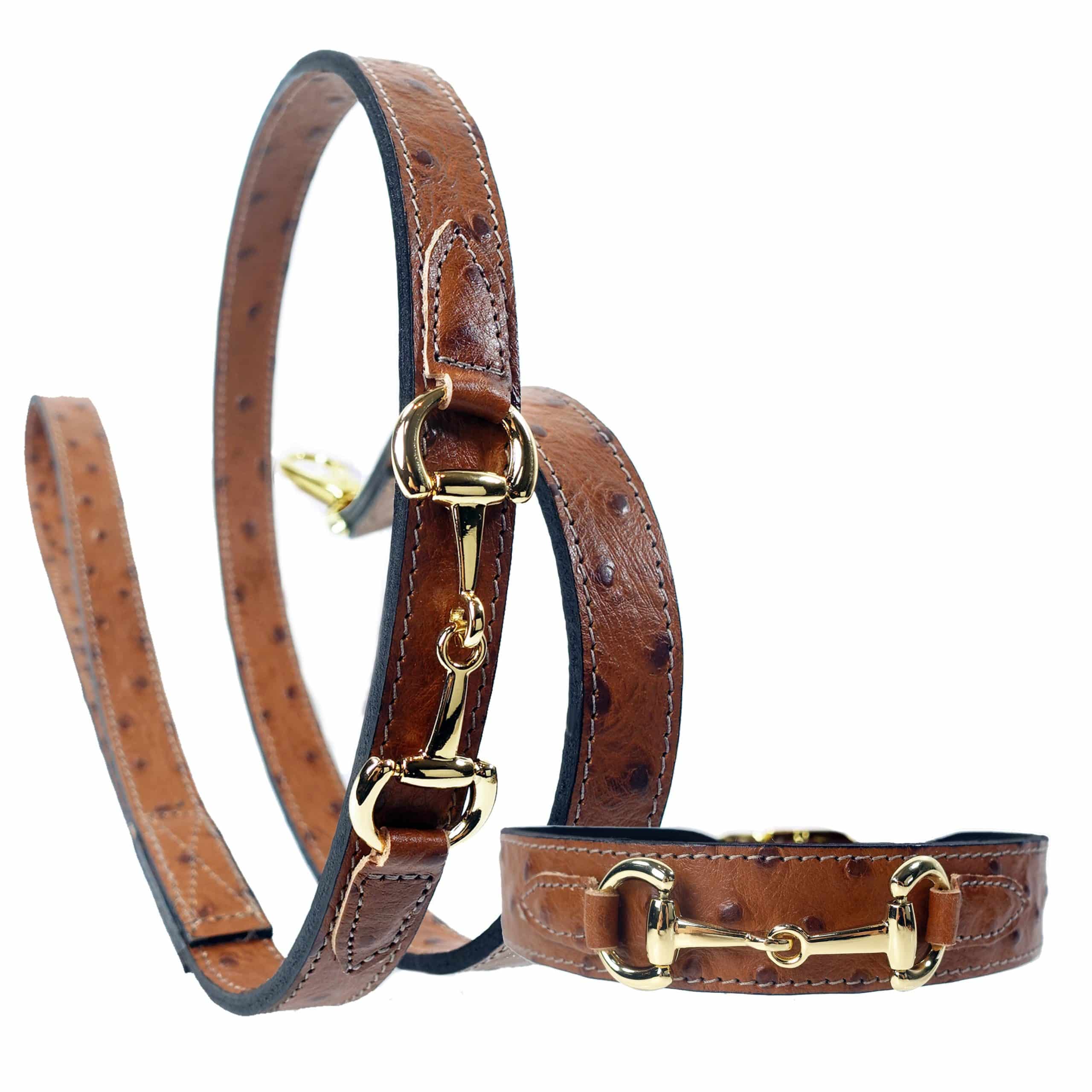 Belmont with Icon Dog Leash in Ostrich & Gold image 1