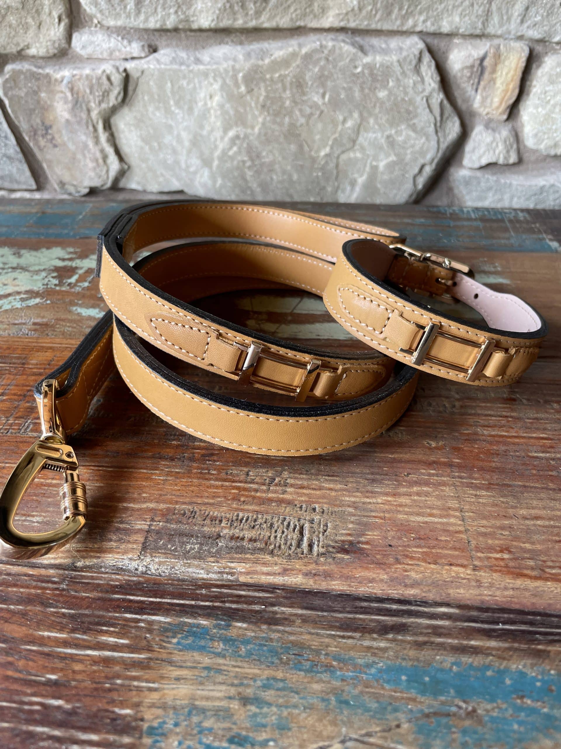 Hamilton with Icon Dog Leash In Natural & Gold image 1