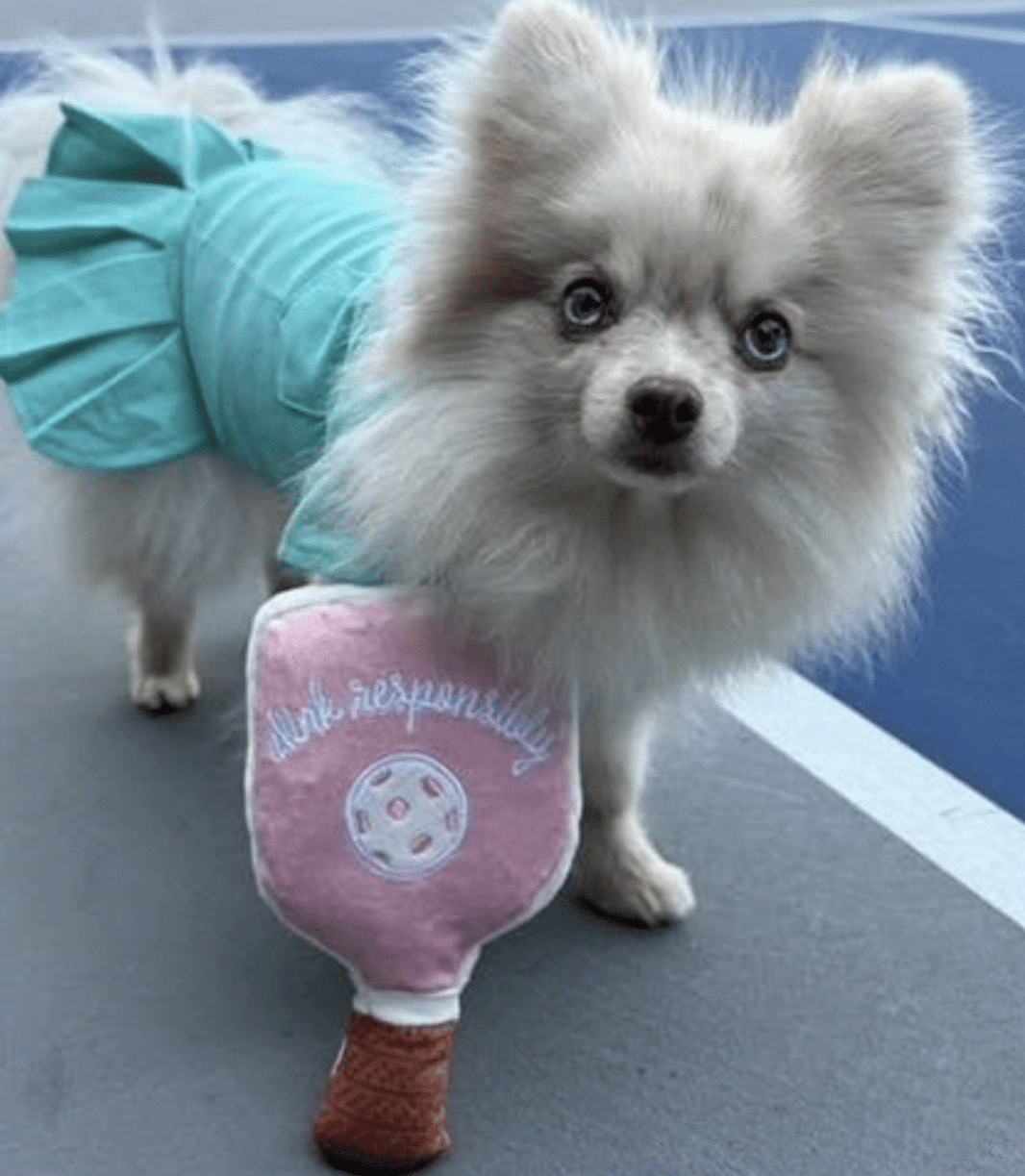 Pink Checker Pickleball Paddle Dog Toy image 0