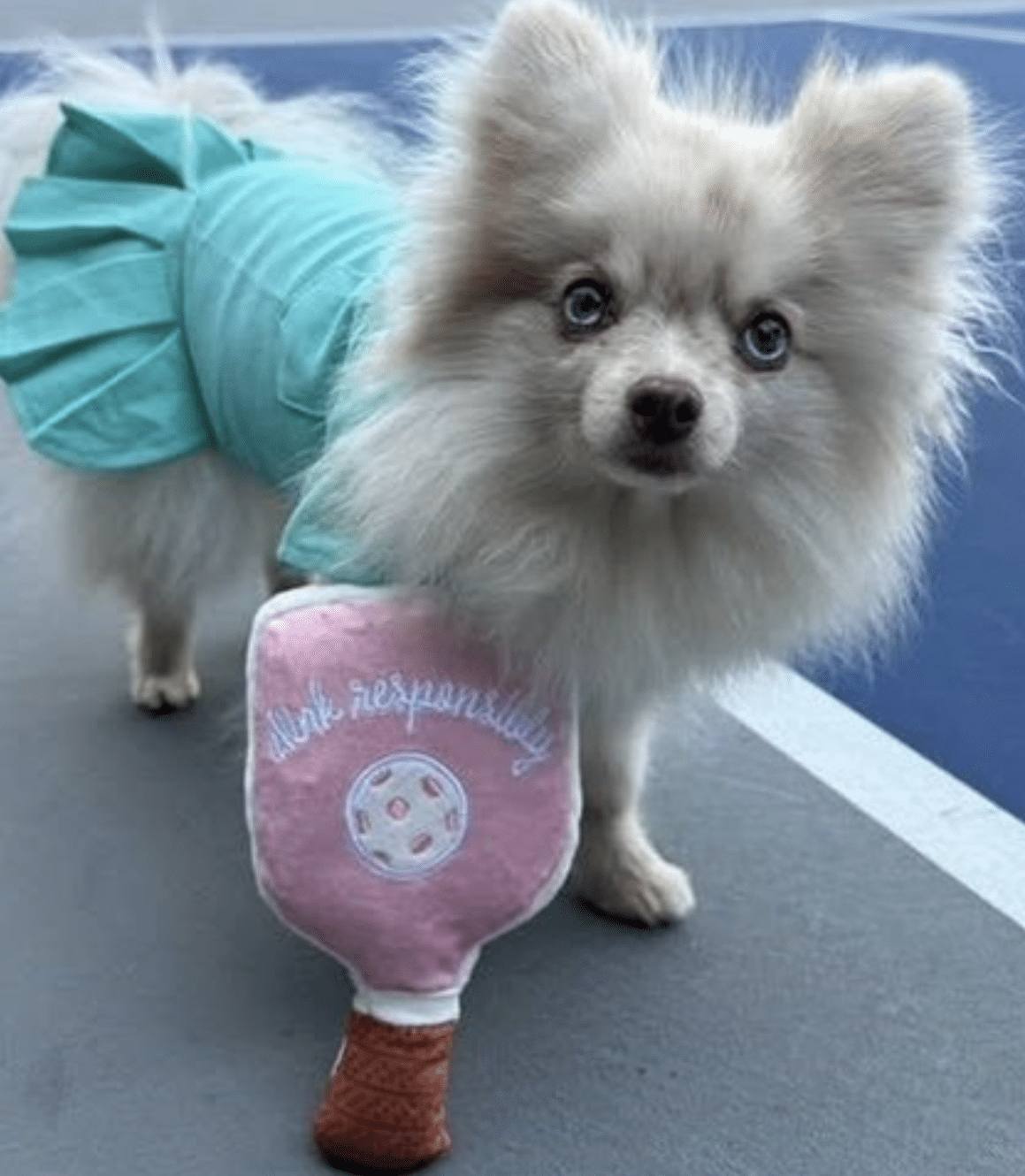 Pink Checker Pickleball Paddle Dog Toy image 0