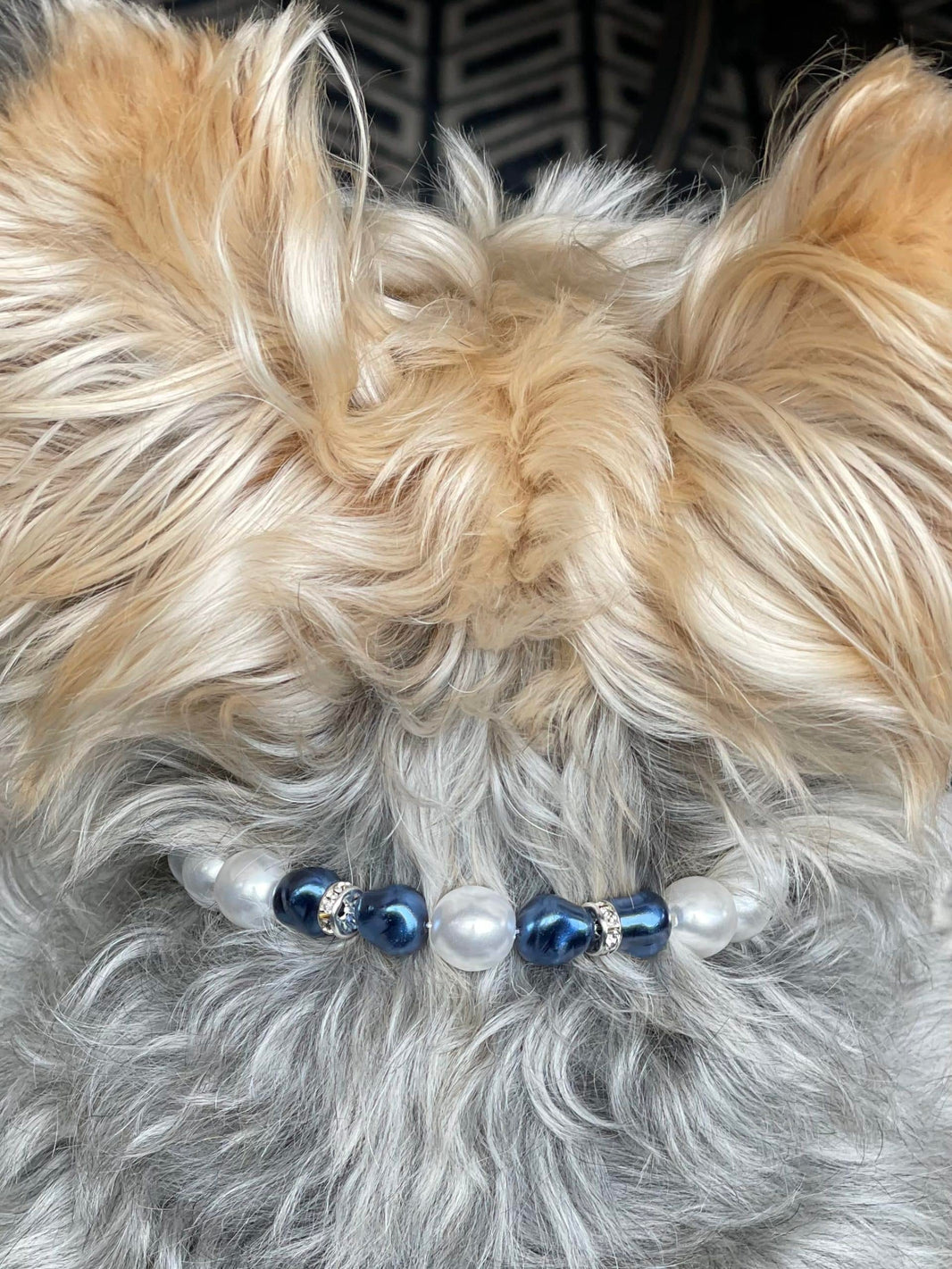Midnight Blue Pearl Dog Necklace image 1