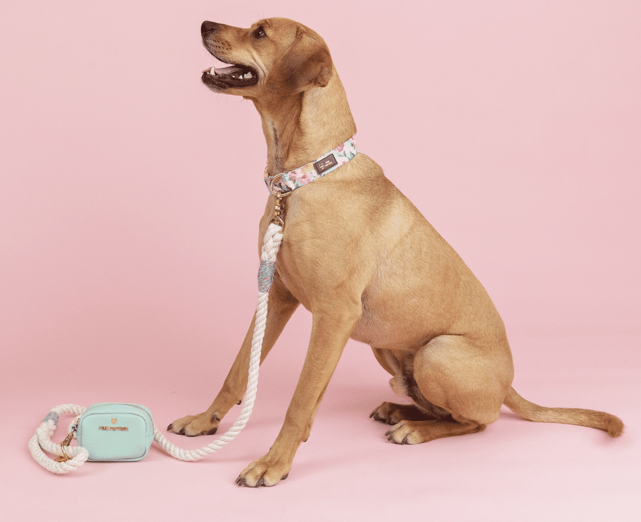 Magnolia Rope Dog Leash image 0