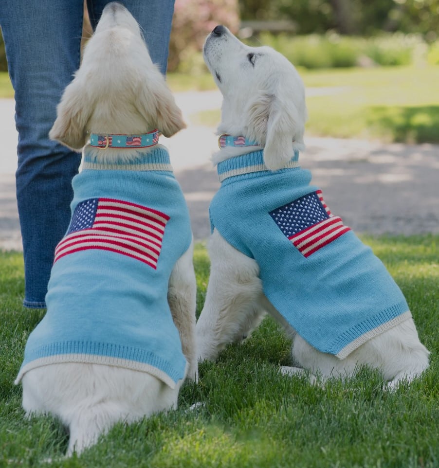 Flag Day Dog Sweater image 0
