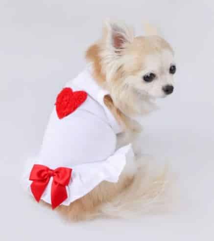 Laced Puff Heart Dog Dress - Red image 2