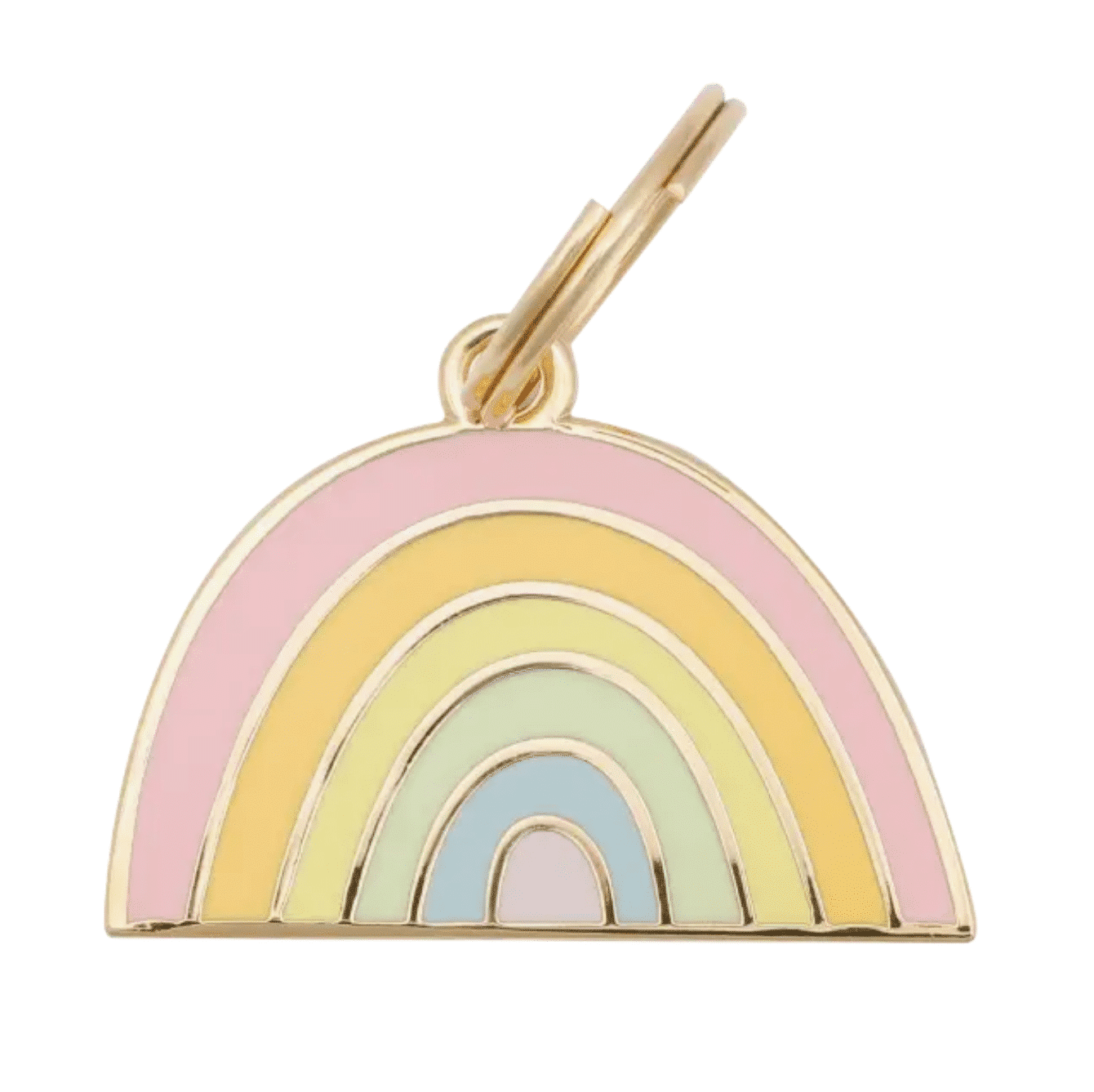 Rainbow Dog Charm image 0