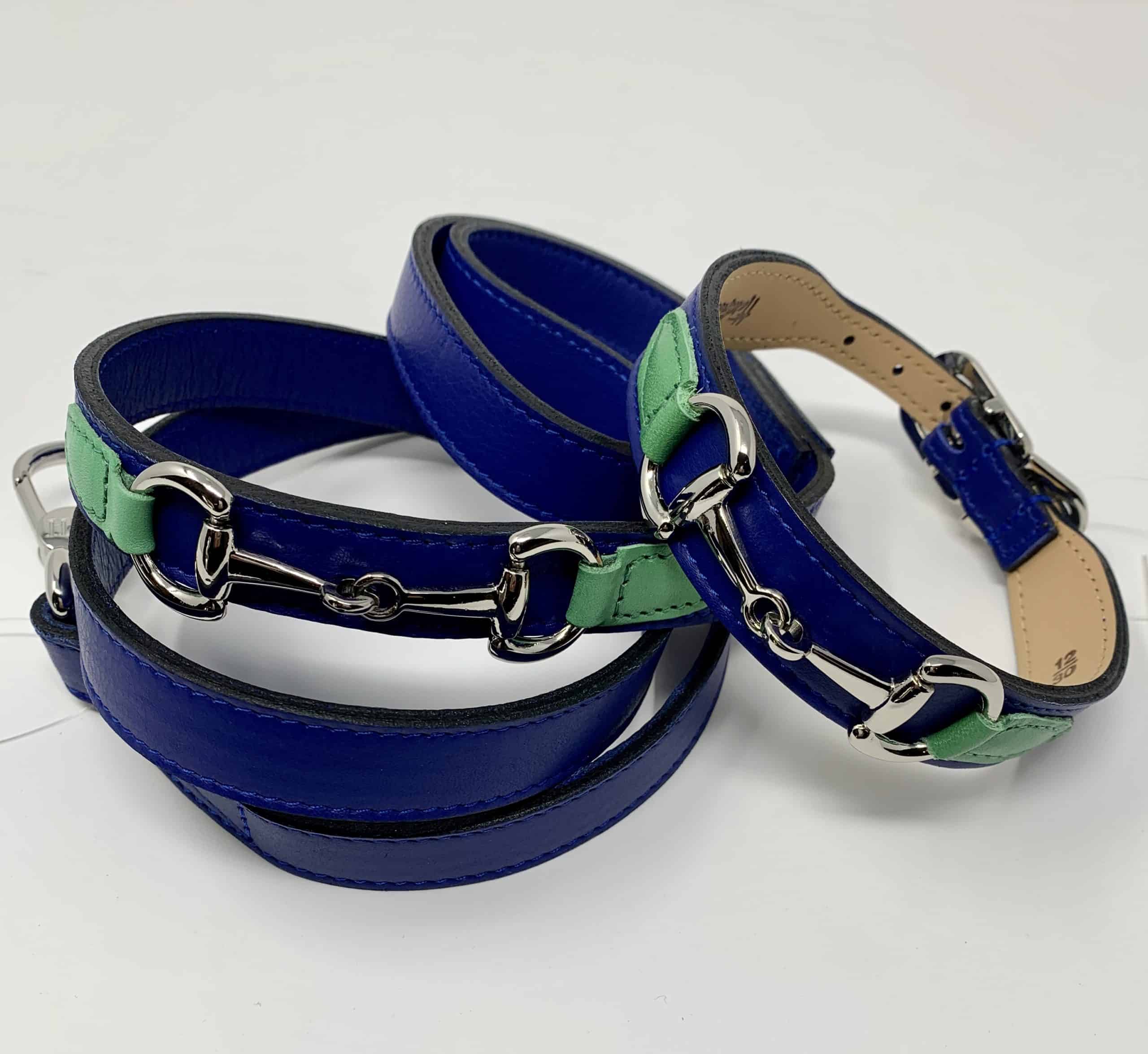 Belmont with Icon Dog Leash in Cobalt Blue, Kelly Green & Nickel image 1