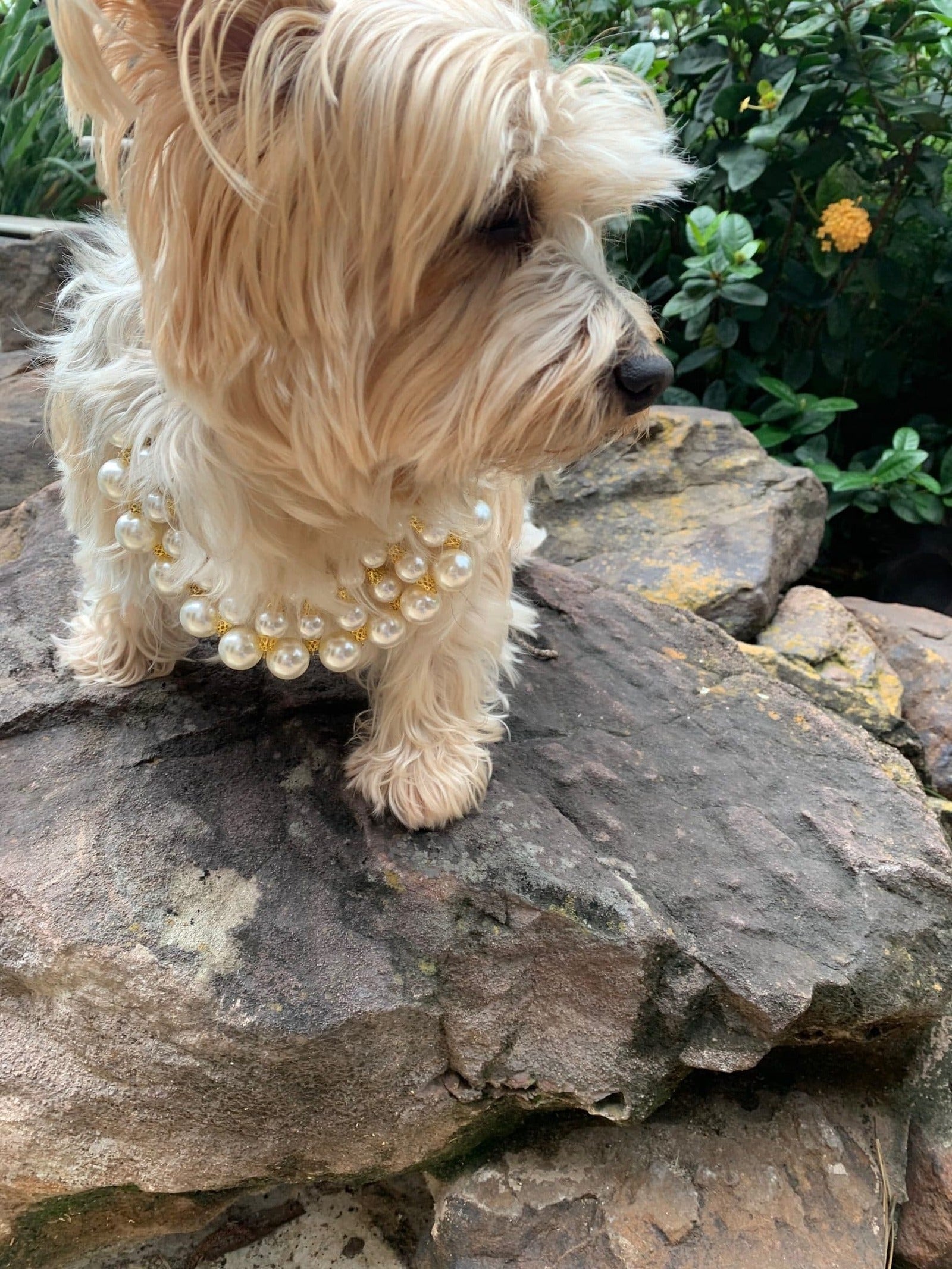 PUCCI Dubai Necklace 2