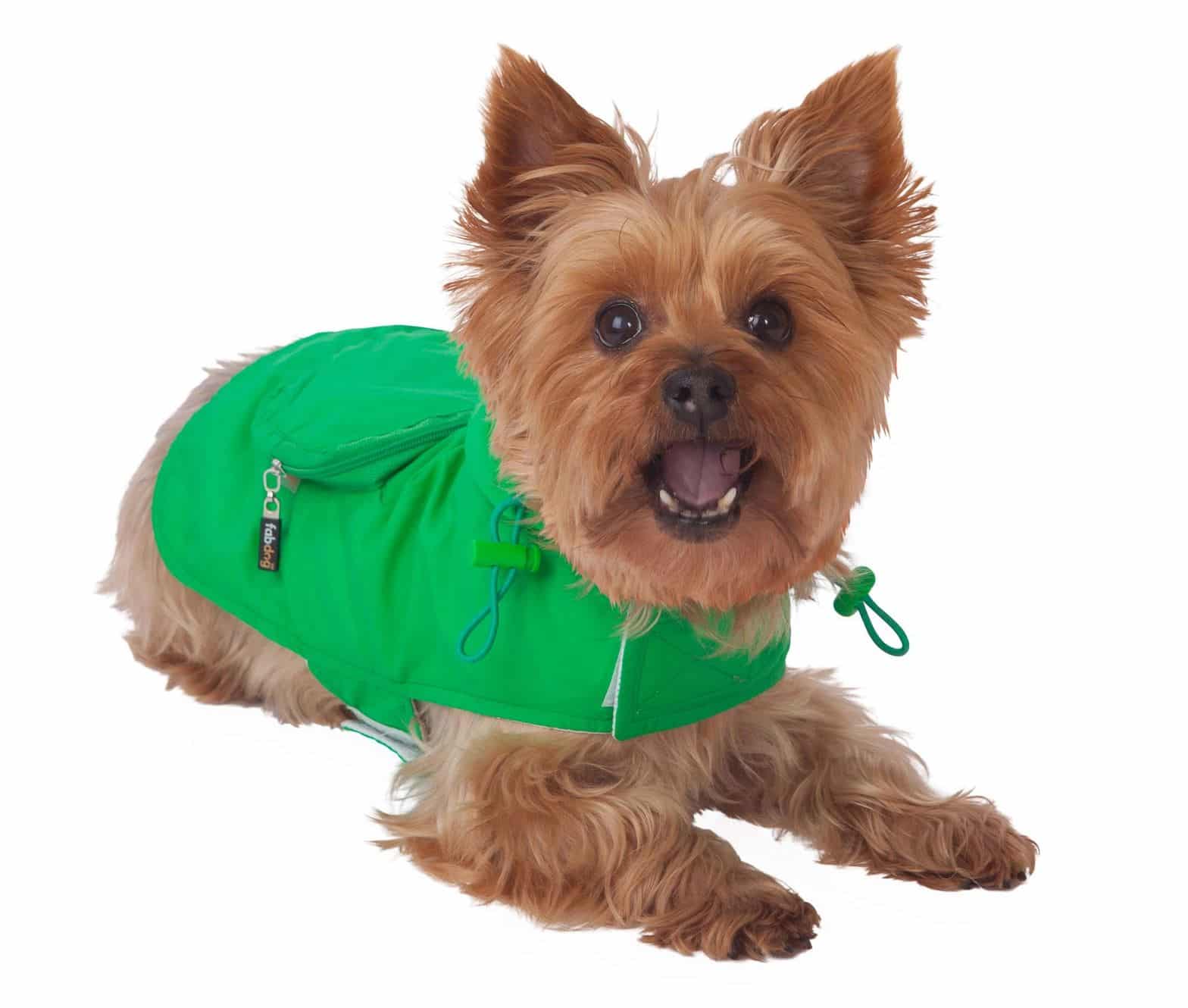 Green Packaway Dog Raincoat image 2