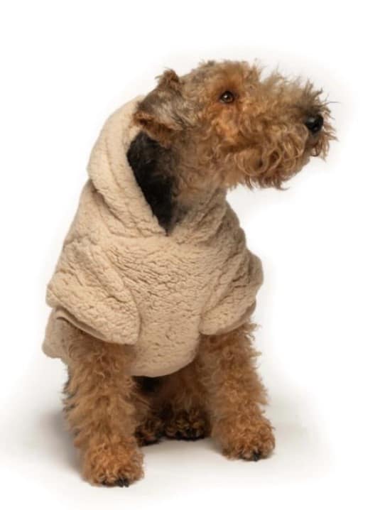 Cream Sherpa Dog Hoodie image 0