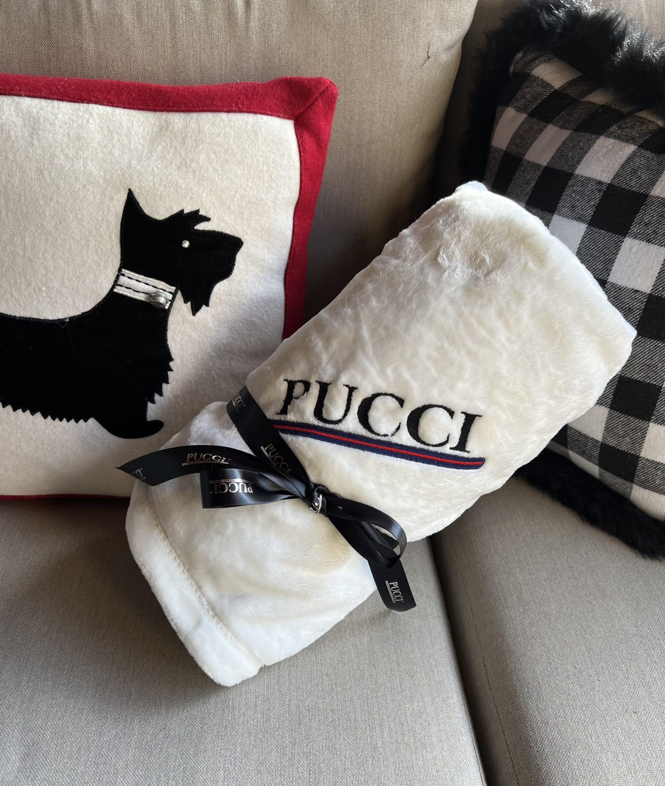 PUCCI Cafe Dog Blanket in White image 0