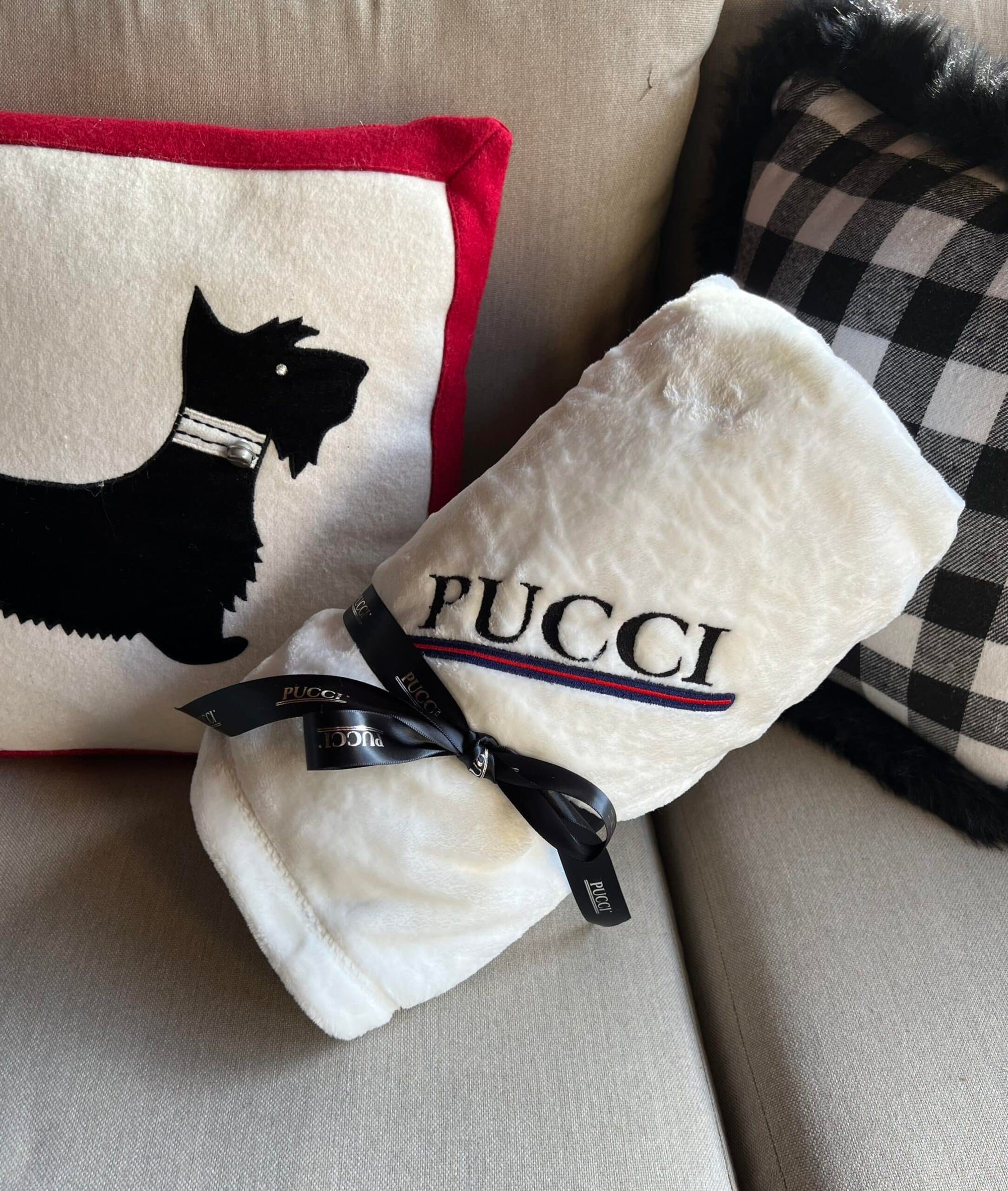 PUCCI Cafe Dog Blanket in White image 0