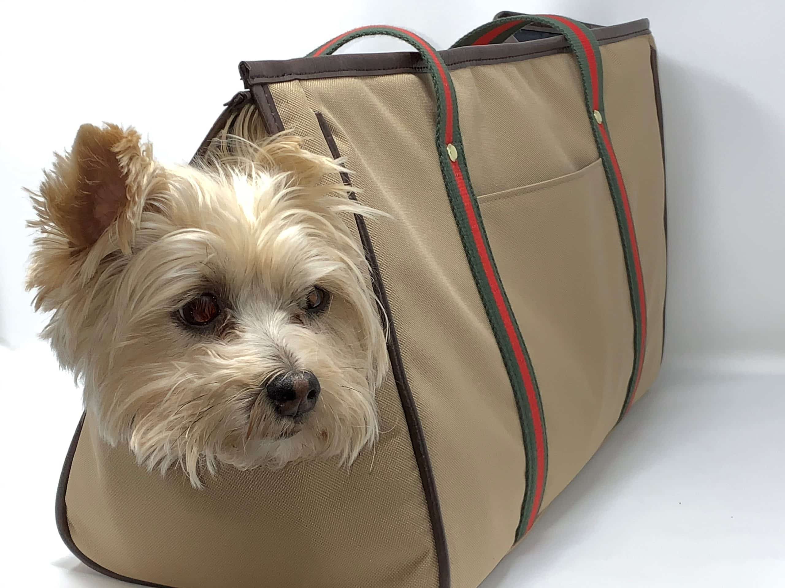 Margo Khaki Dog Bag with Stripes image 0