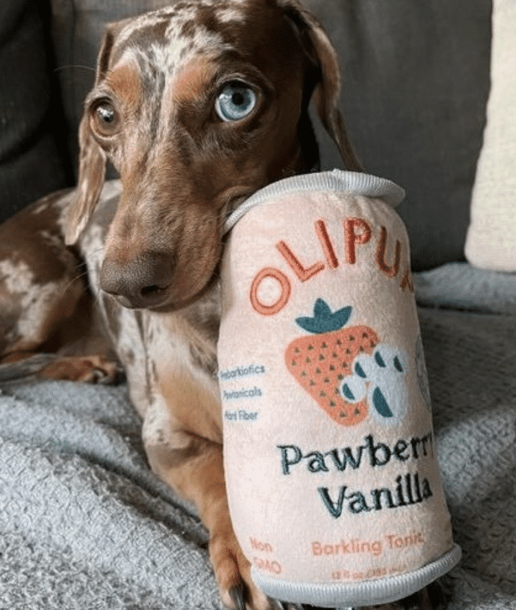 Olipup Pawberry Vanilla Dog Toy image 0