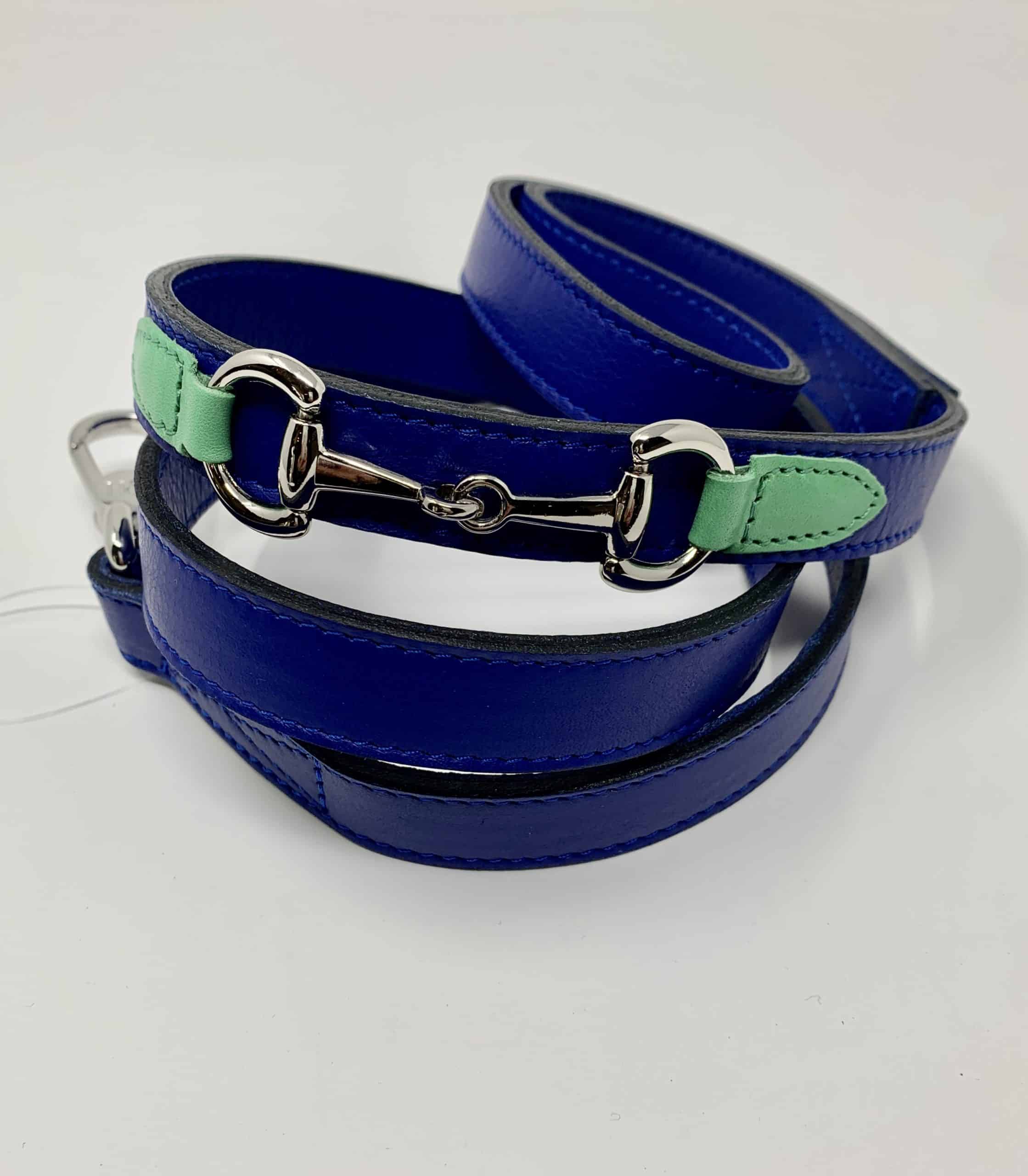 Belmont with Icon Dog Leash in Cobalt Blue, Kelly Green & Nickel image 0