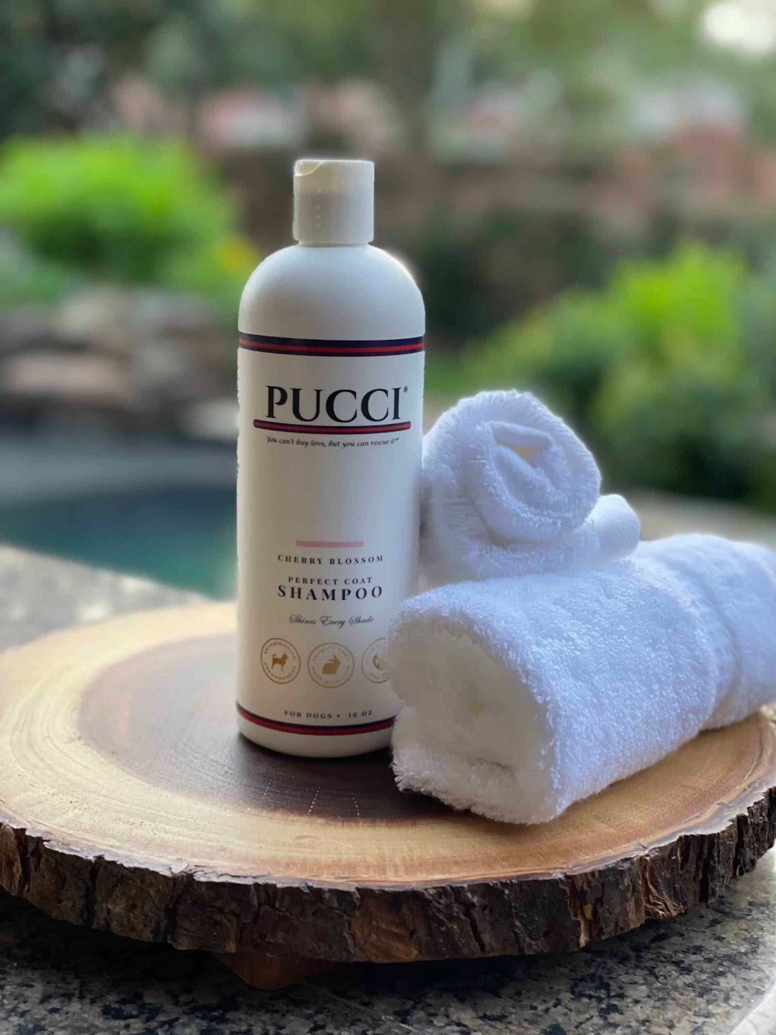 PUCCI Cafe Cherry Blossom Perfect Coat Dog Shampoo
