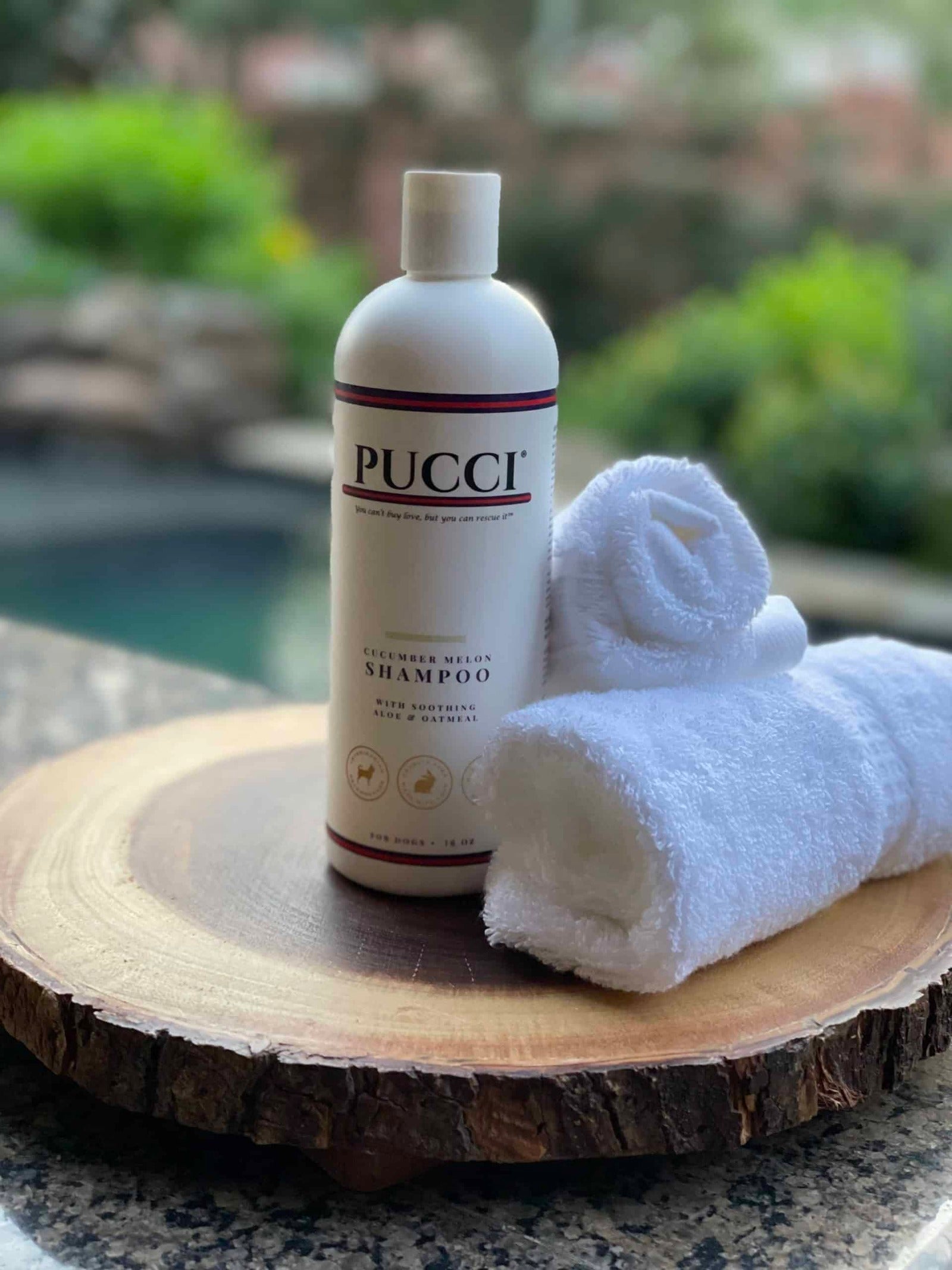 PUCCI Cafe Cucumber Melon Dog Shampoo