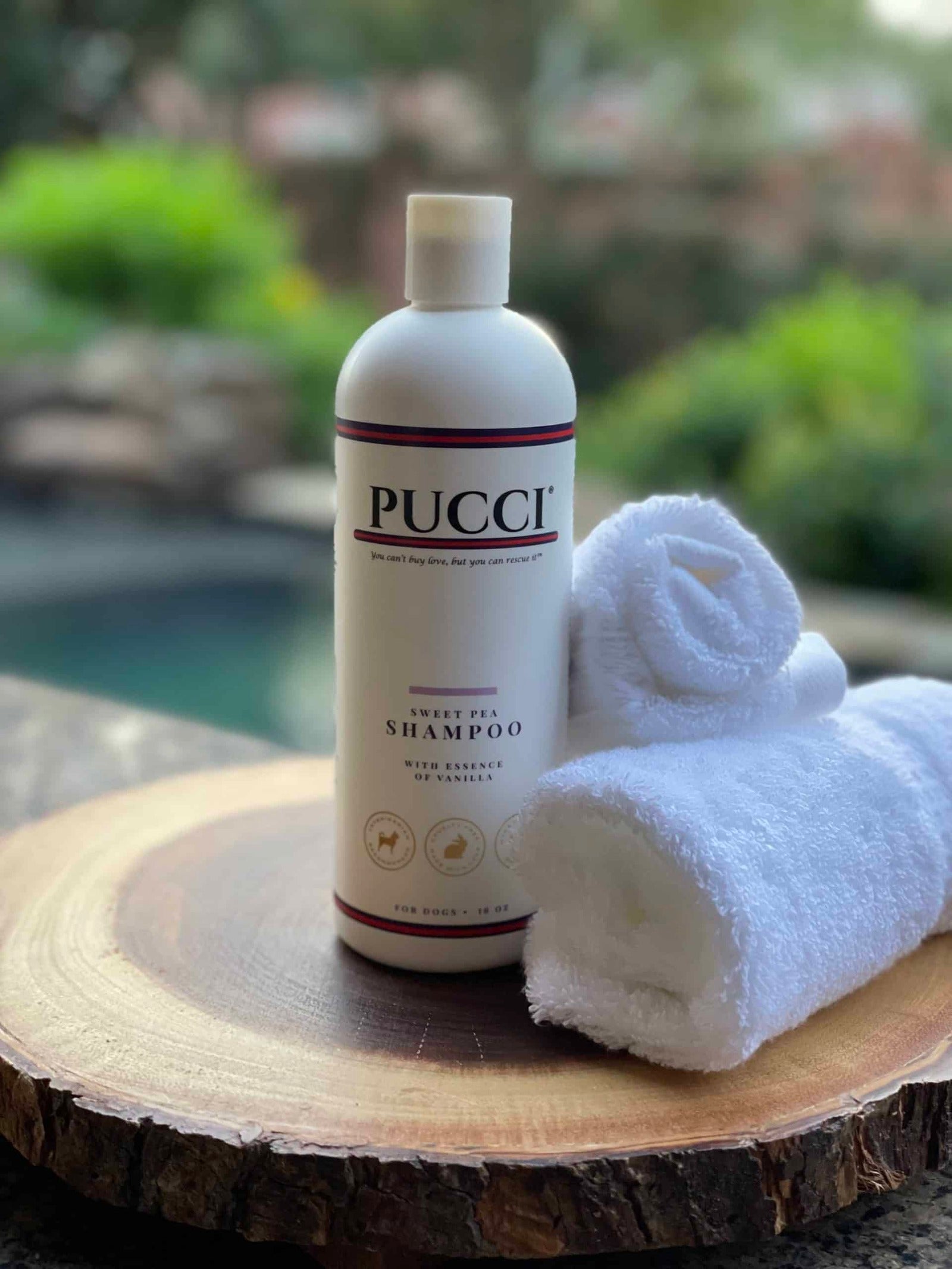 PUCCI Cafe Sweet Pea & Vanilla Dog Shampoo