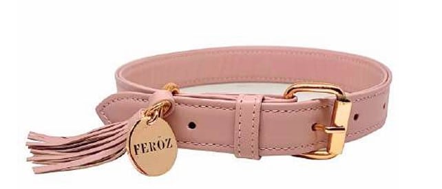 Feroz Leather Dog Collar - Coral Collection image 5