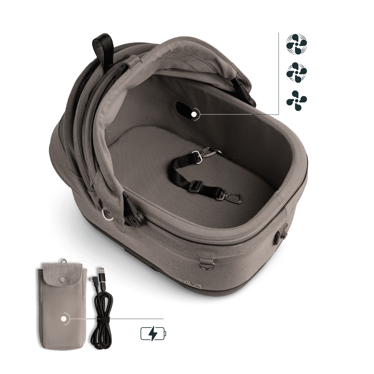 Tavo Pets Maeve iso Wind + Roscoe Trek image 3