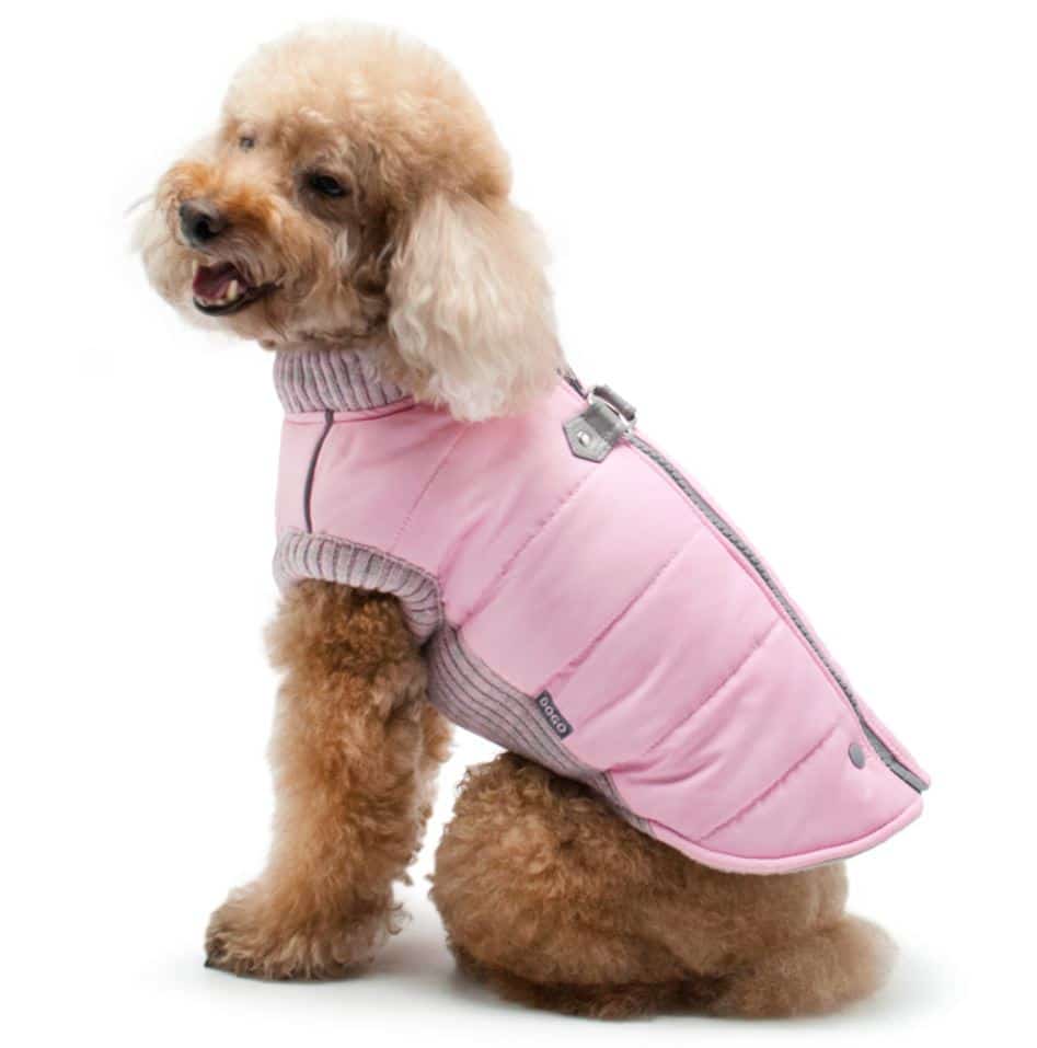 Runner Dog Coat - Pink image 0