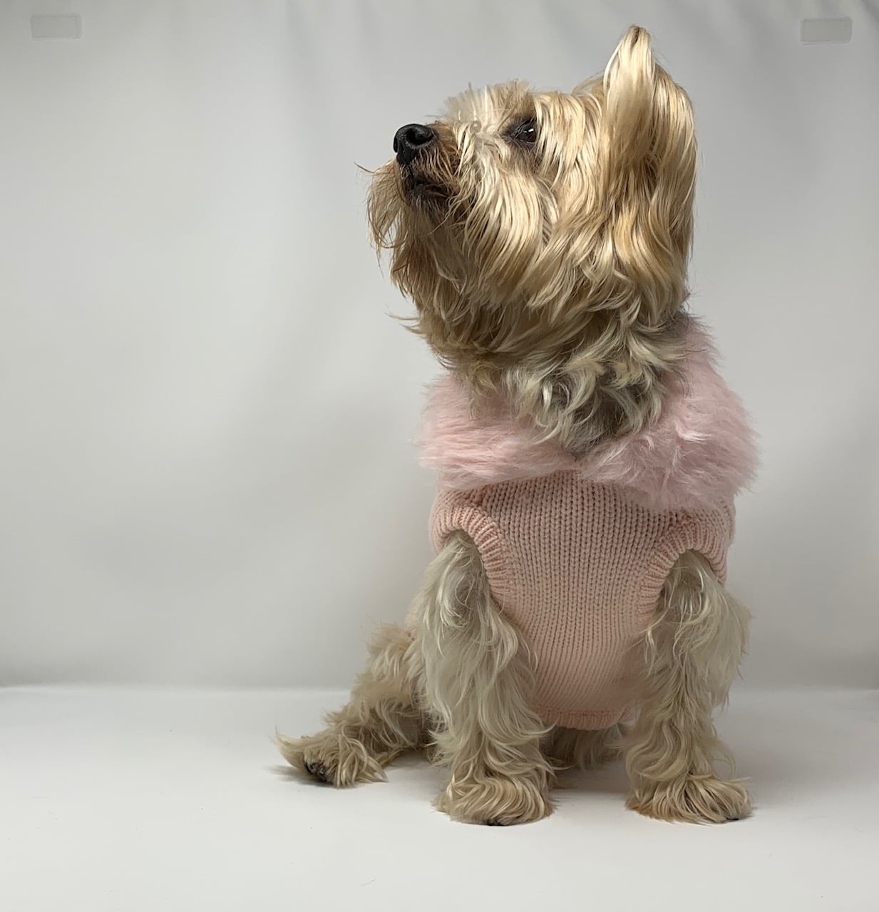 Luxy Fur Sweater Dog Coat image 1