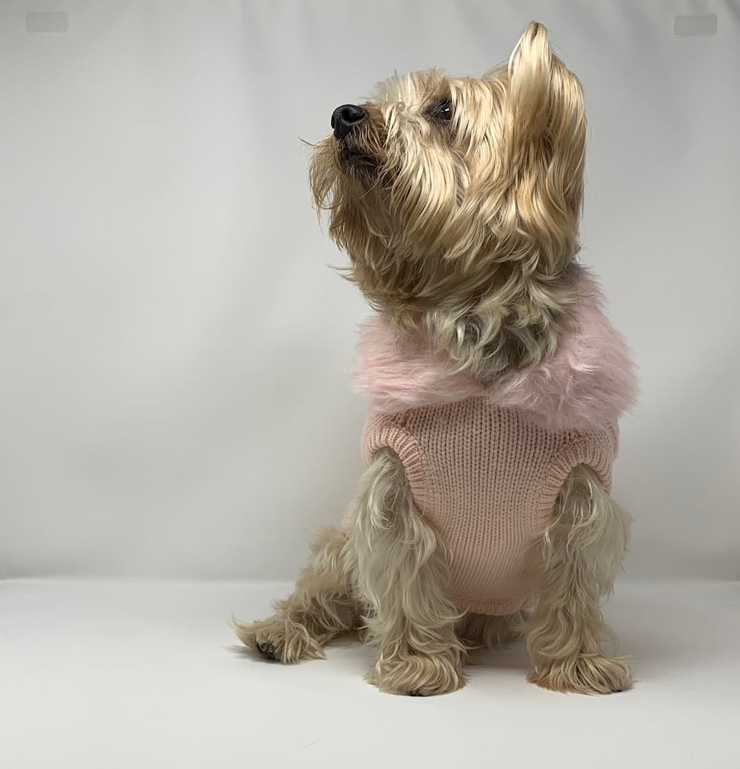 Luxy Fur Sweater Dog Coat image 1