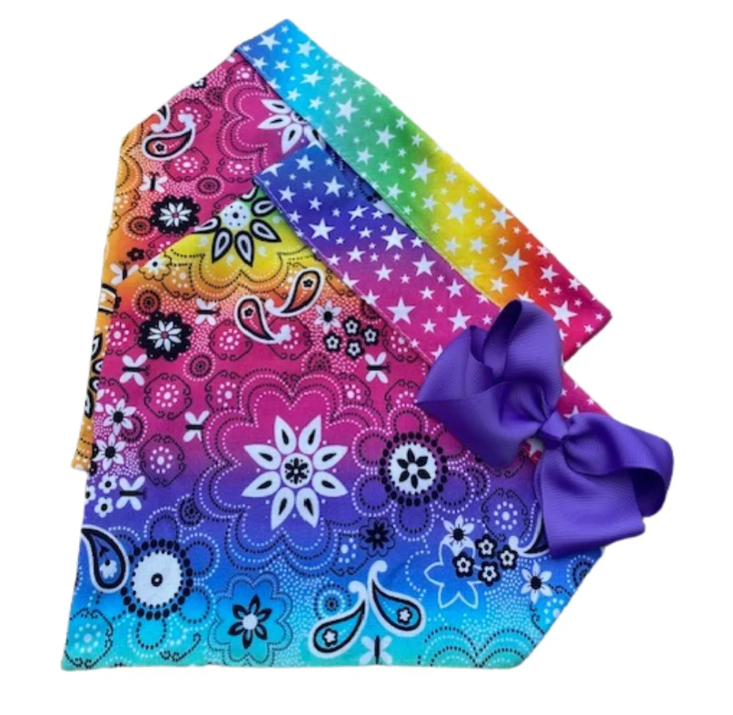Rainbow Flowers & Stars Dog Bandana with Bow image 0