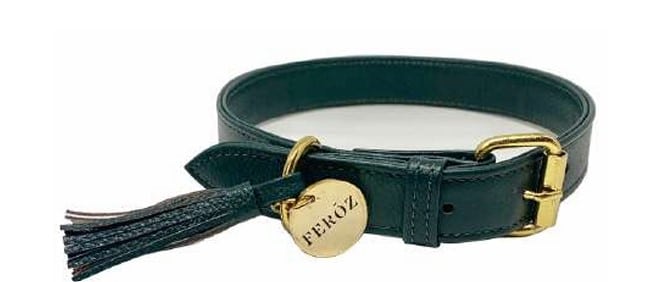 Feroz Leather Dog Collar - Coral Collection - Pine Green, Small image