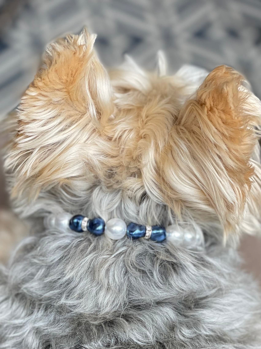 Midnight Blue Pearl Dog Necklace image 0