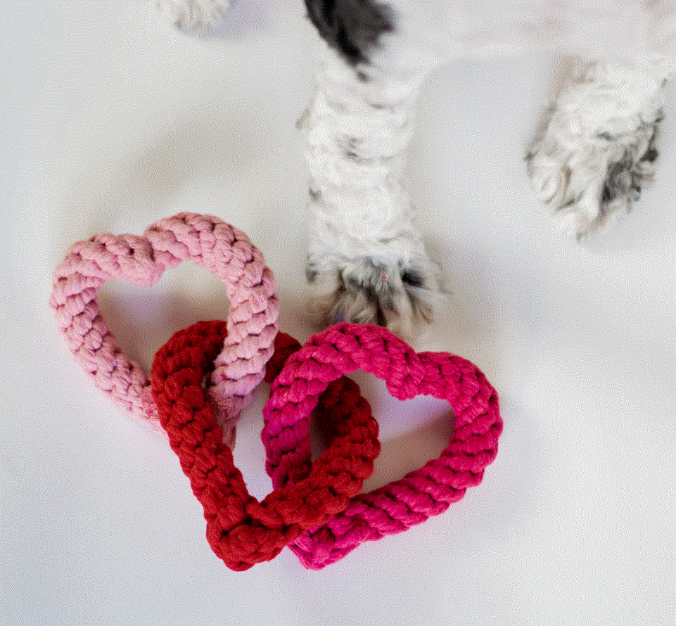 Interlocking Heart Rope Dog Toy image 2