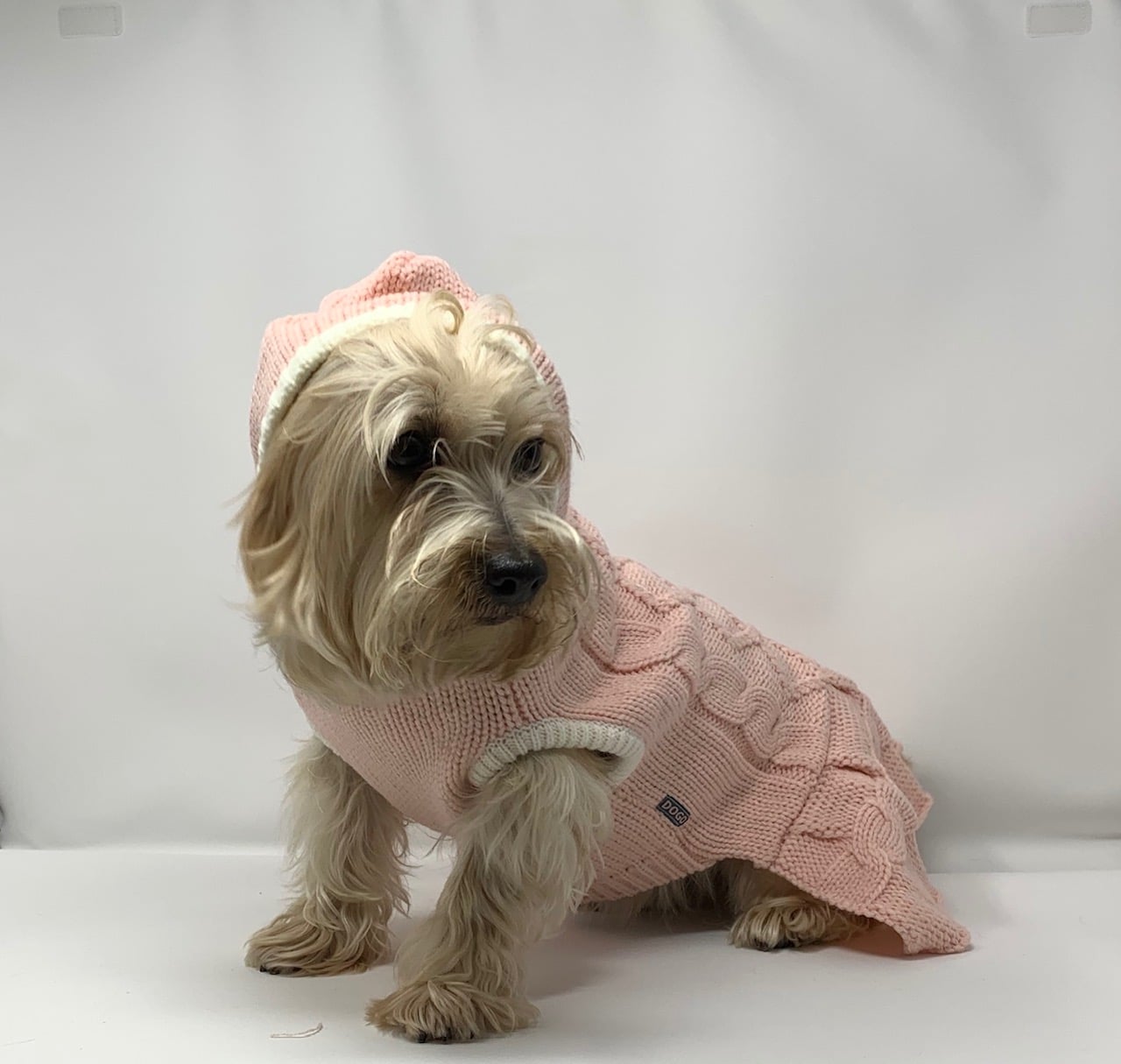 Cable Hoodie Sweater Dog Dress image 1
