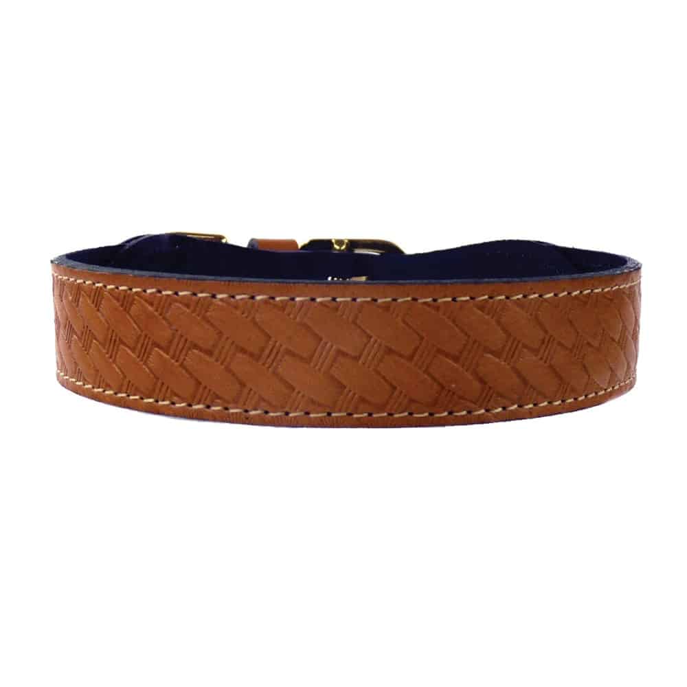 Classic Dog Collar in Caramel image 0