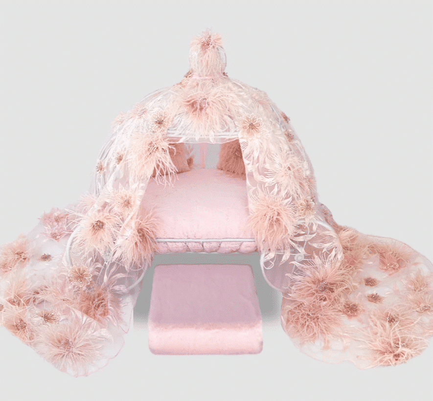 Moulin Rouge Dog Carriage Dog Bed image 0