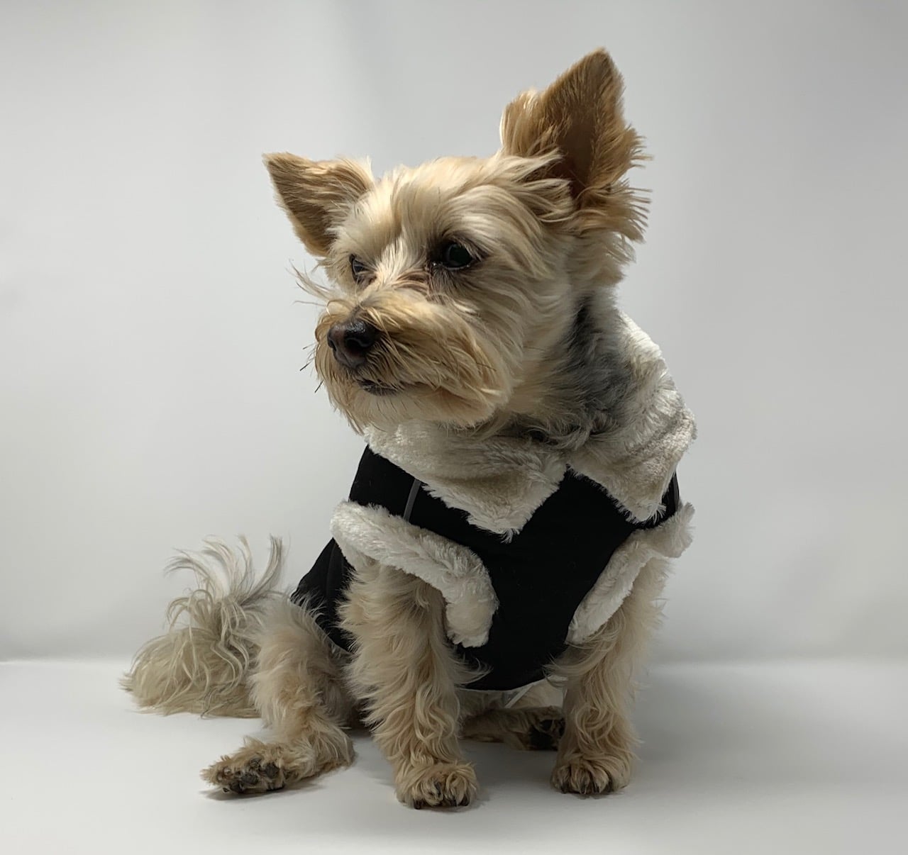 Furry Runner Coat Black
