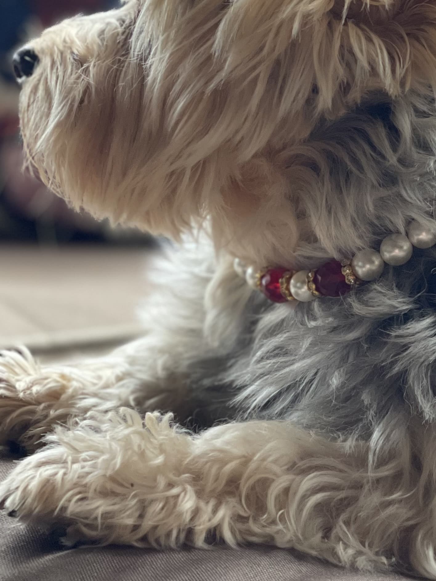 Ruby Red Pearl Dog Necklace image 1