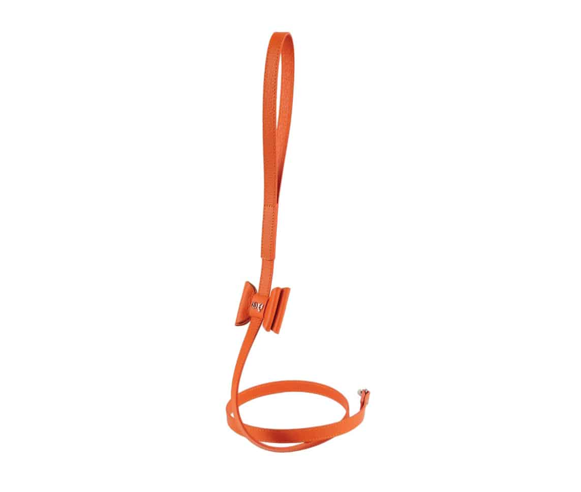 Bisou Dog Leash - Orange image