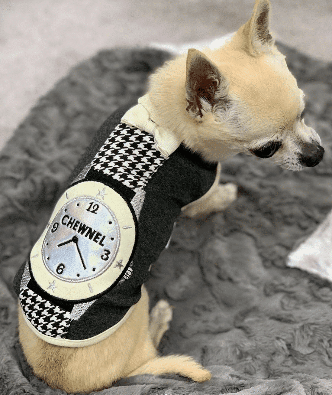 Chewel Classic Watch Dog Tank image 0