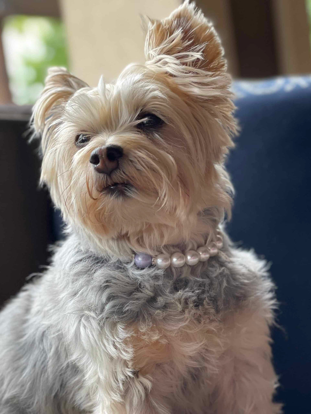 Lilac Pearl Dog Necklace image 0