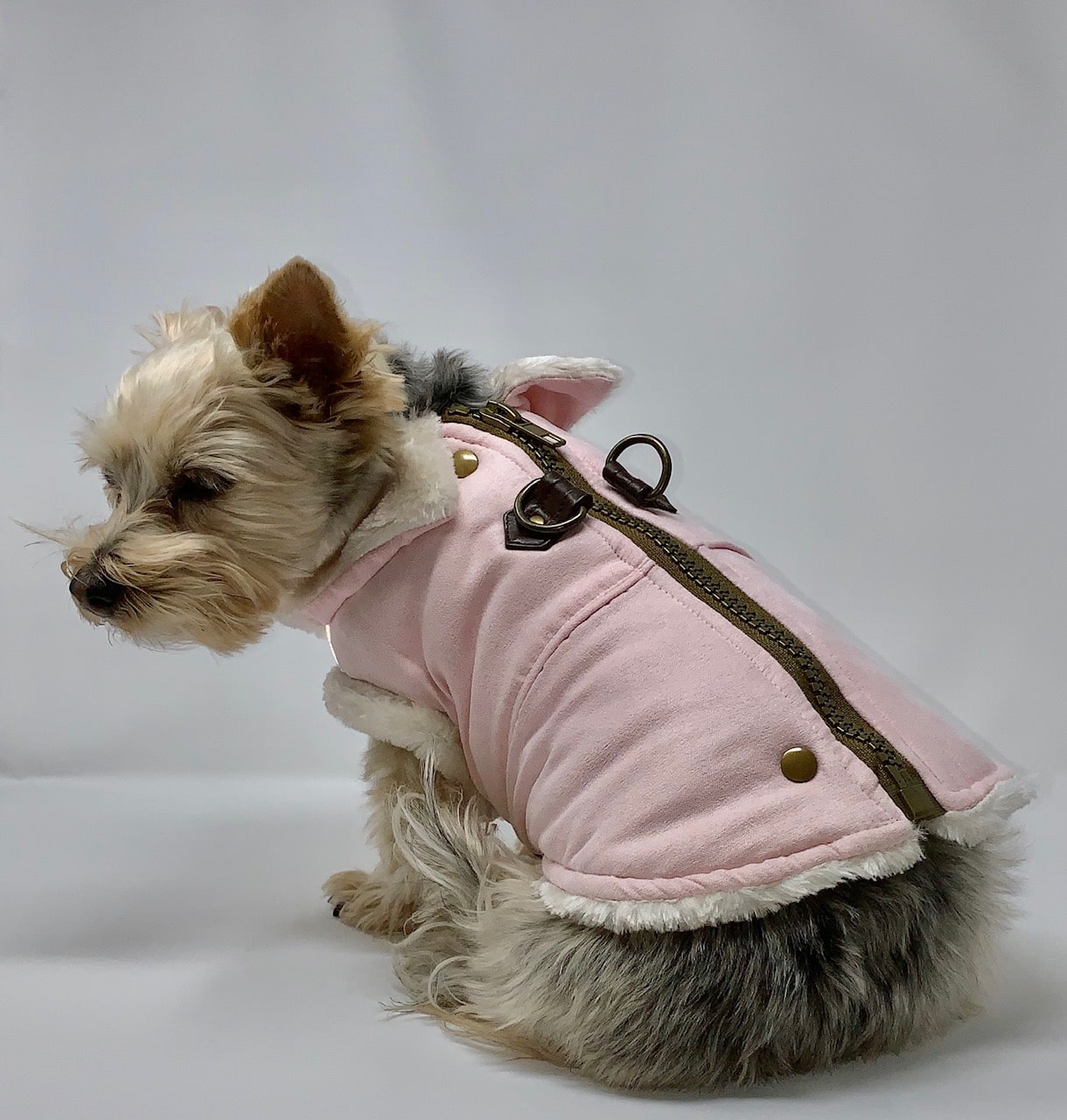 Furry Runner Dog Coat – Pink image 1