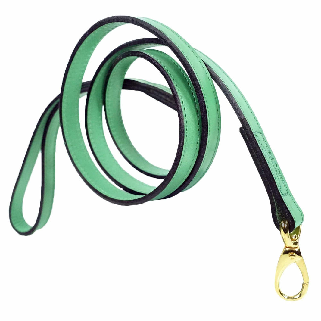 Belmont Dog Leash in Kelly Green & Gold image 0