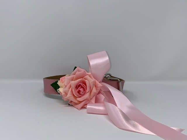 Pink Collar / Pink Rose Dog Collar image 0