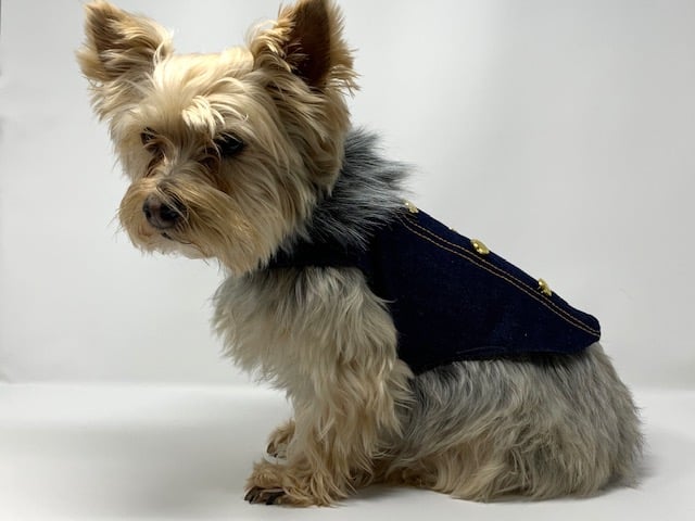 Valeria Denim Dog Jacket - Medium image 0