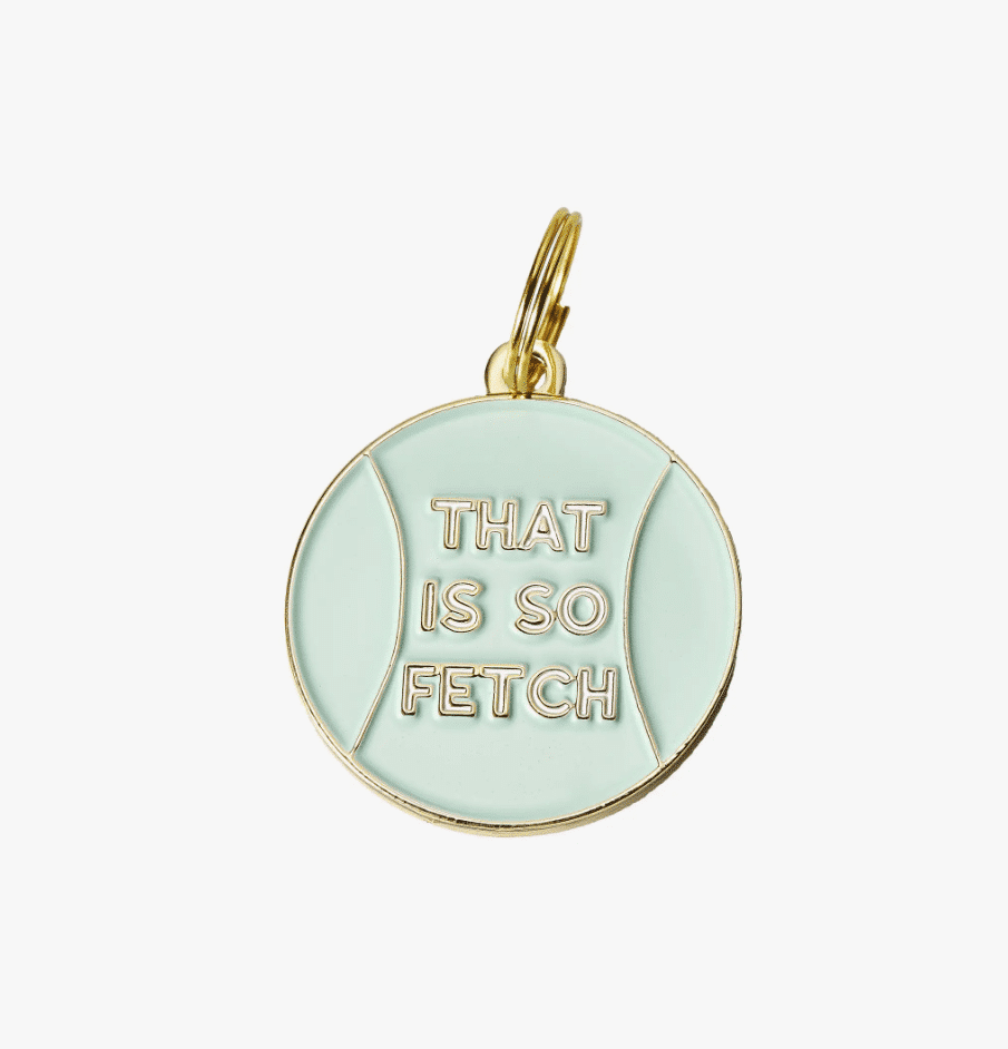 "That Is So Fetch" Dog Charm image 0