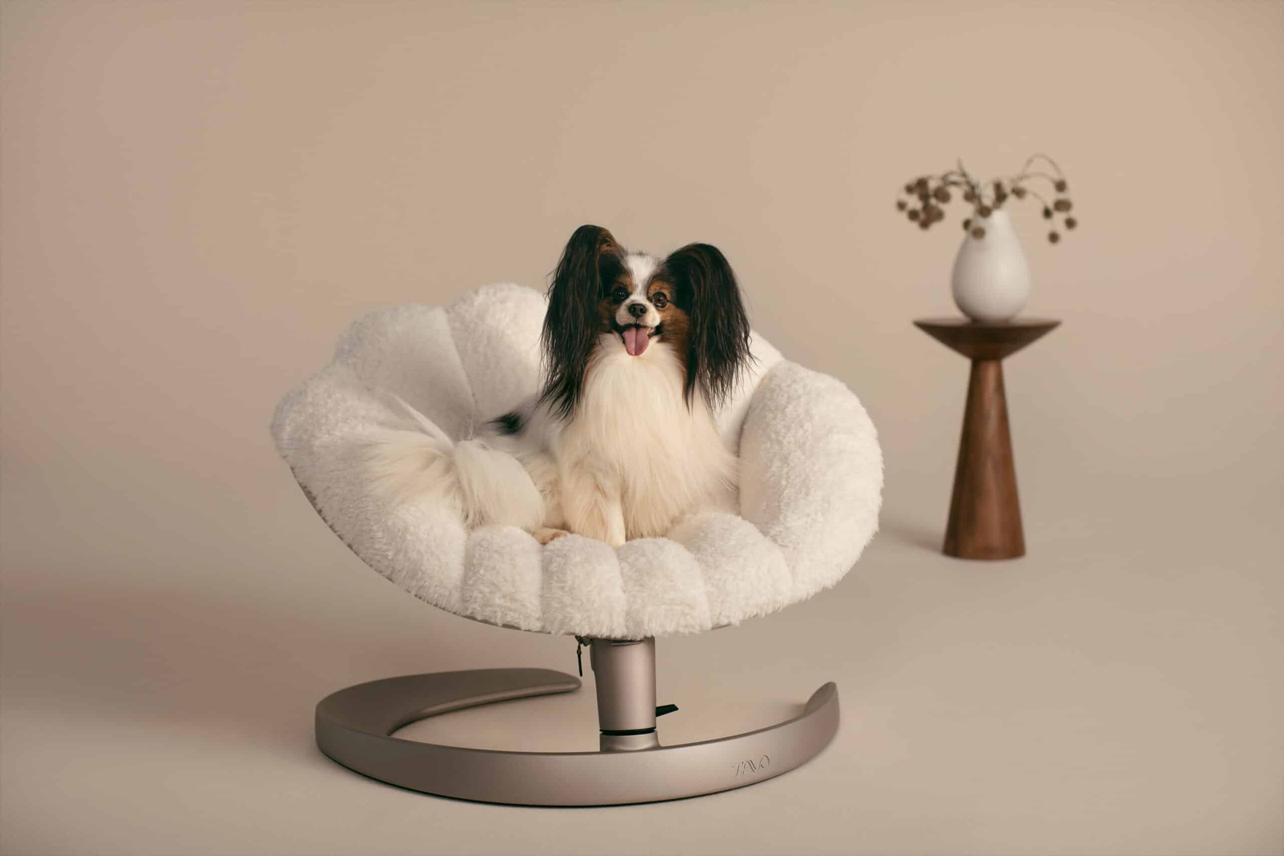 Tavo Pets Shell image 0