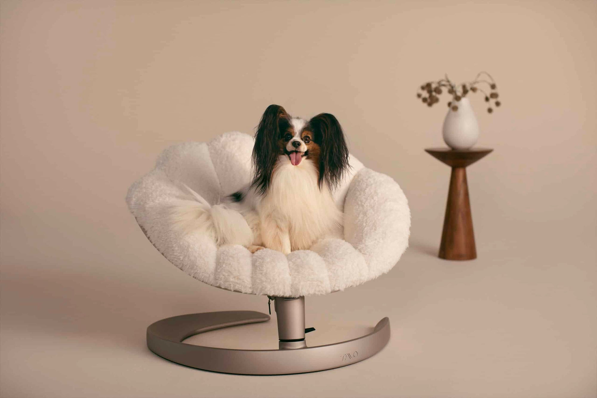 Tavo Pets Shell image 0