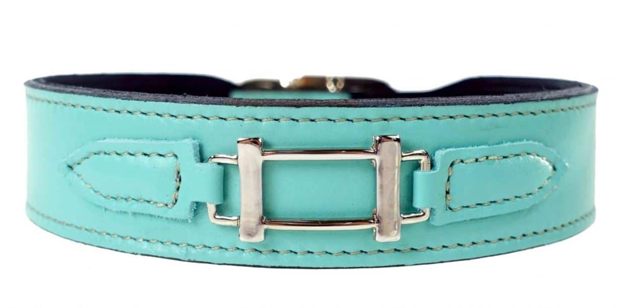 Hamilton Dog Collar in Turquoise & Nickel image 0
