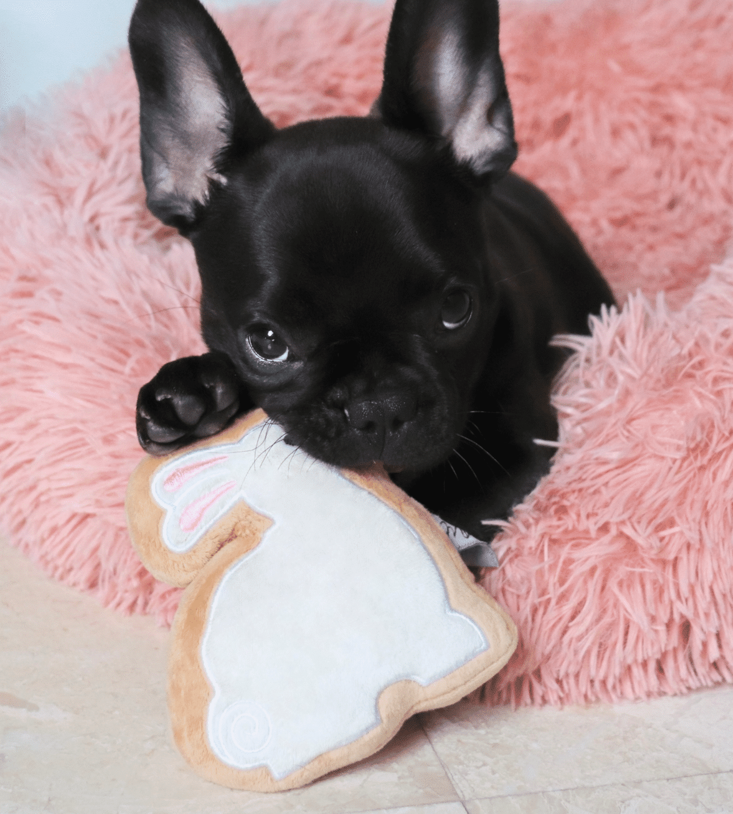 Sugar Cookie Easter Bunny Dog Toy image 0